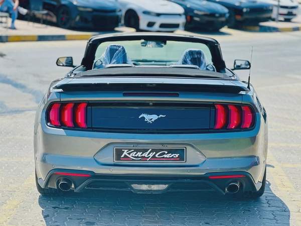 2022 Ford Mustang EcoBoost Convertible - # 24112
