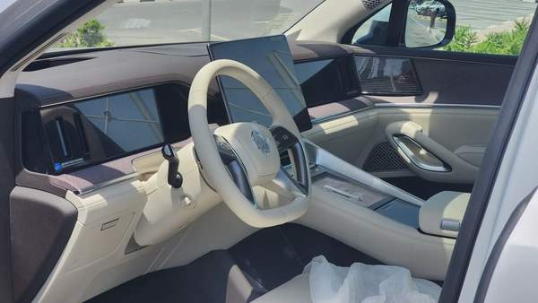 DENZA N9 (Silver White)