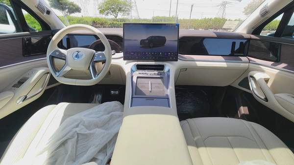 DENZA N9 (Silver White)