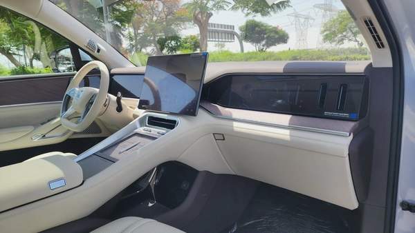 DENZA N9 (Silver White)