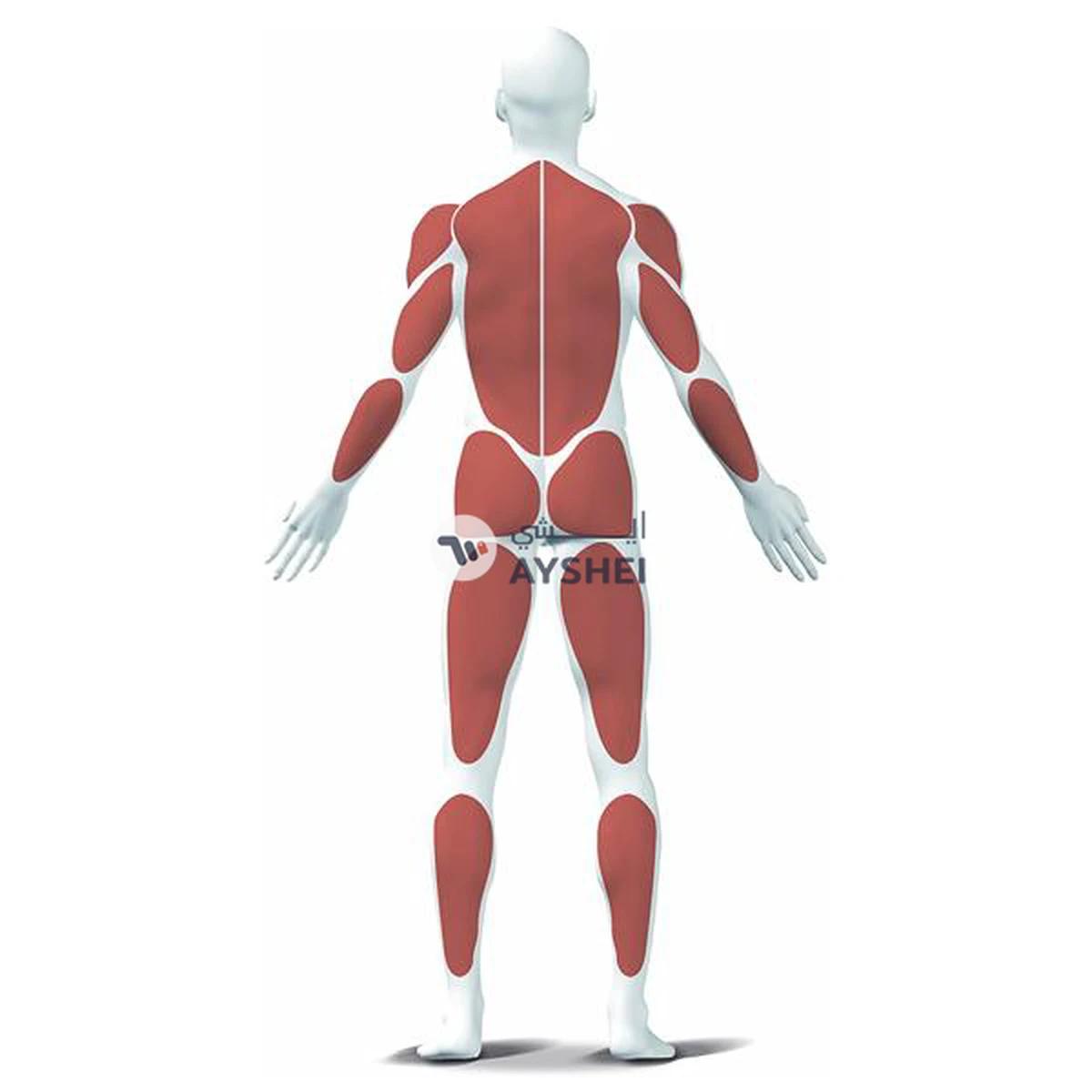 Kettler MULTI GYM / 07752-850-0-portrait