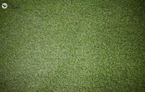Yatai Decor Artificial plants Green Grass Carpet For Home Garden
