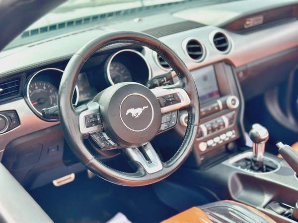 2020 Ford Mustang Ecoboost Convertible - # 18958