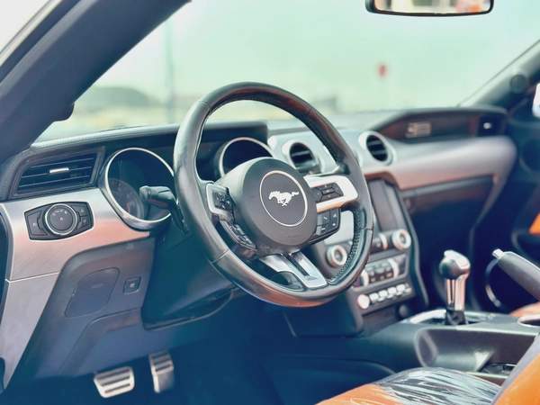 2020 Ford Mustang Ecoboost Convertible - # 18958