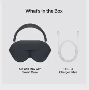 Apple Airpods Max ( USB-C) Purple