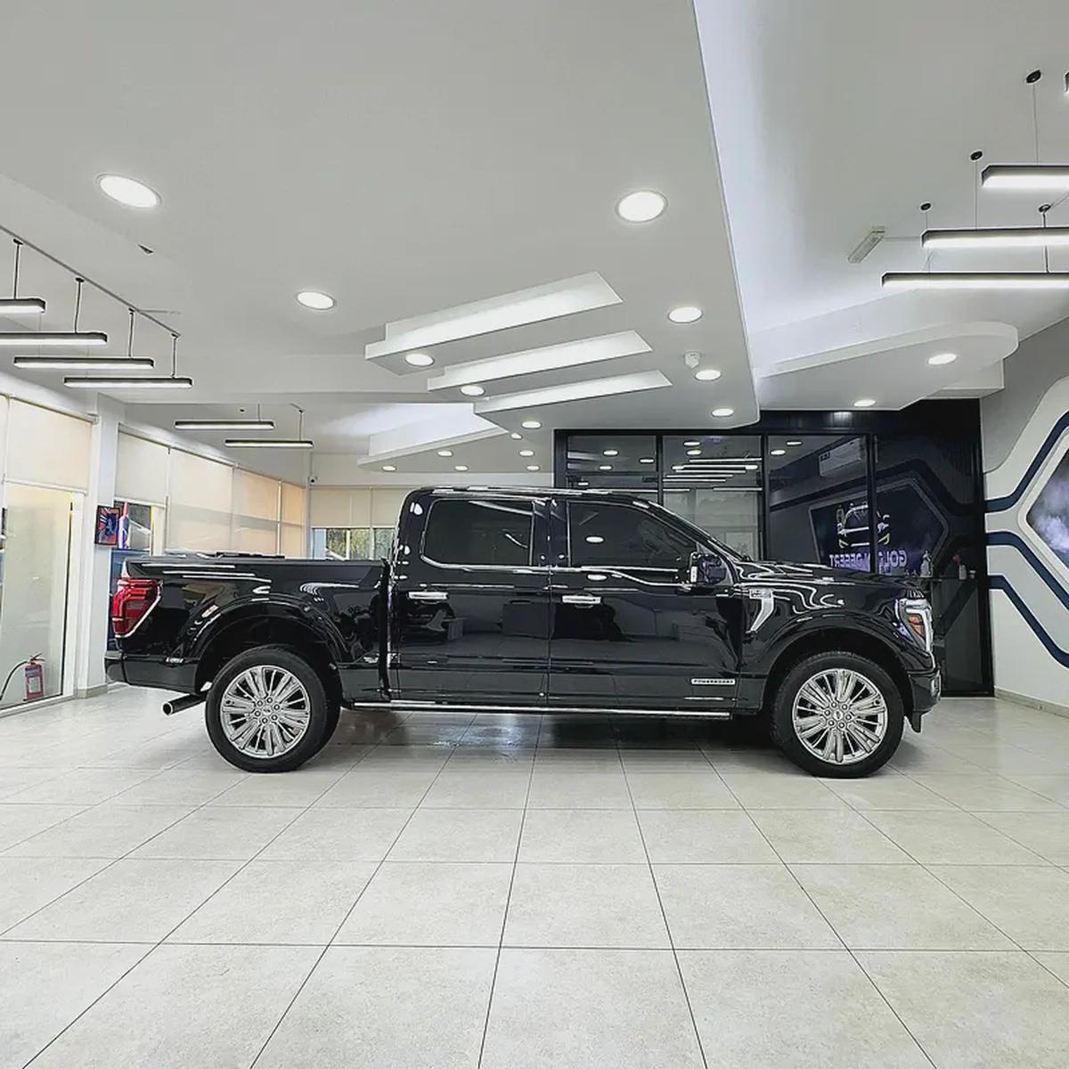 2024 - Ford F-150 Platinum Power Boost-3-3