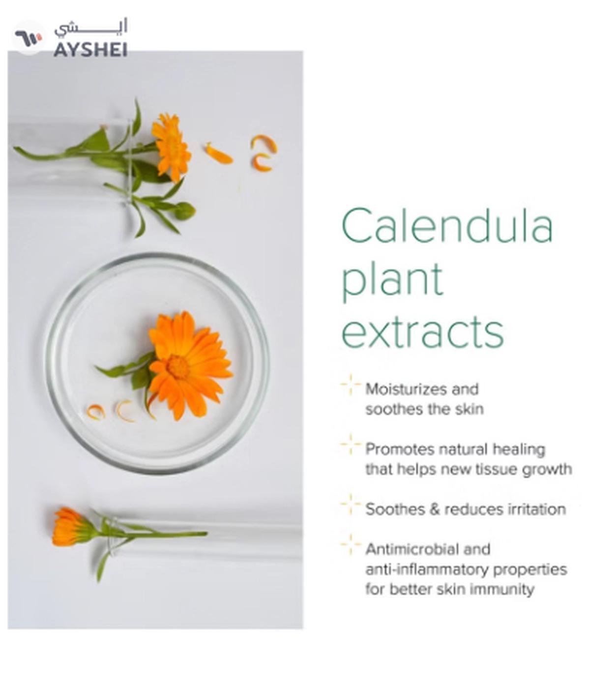 NurturePro AG+ Silver Pet Wet Wipes -Unscented (100 Sheets /Pack)-2-2