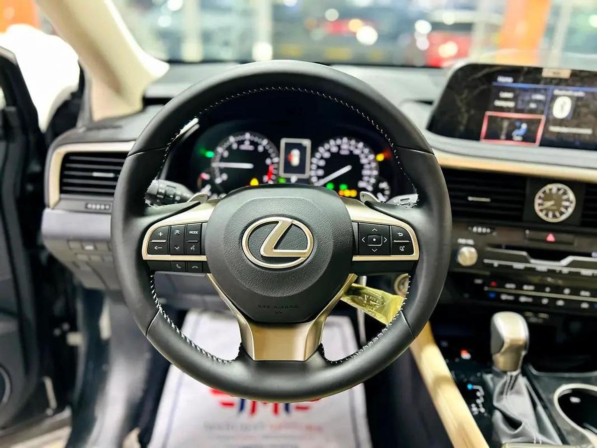Lexus RX-Series RX 350 Platinum-8-8