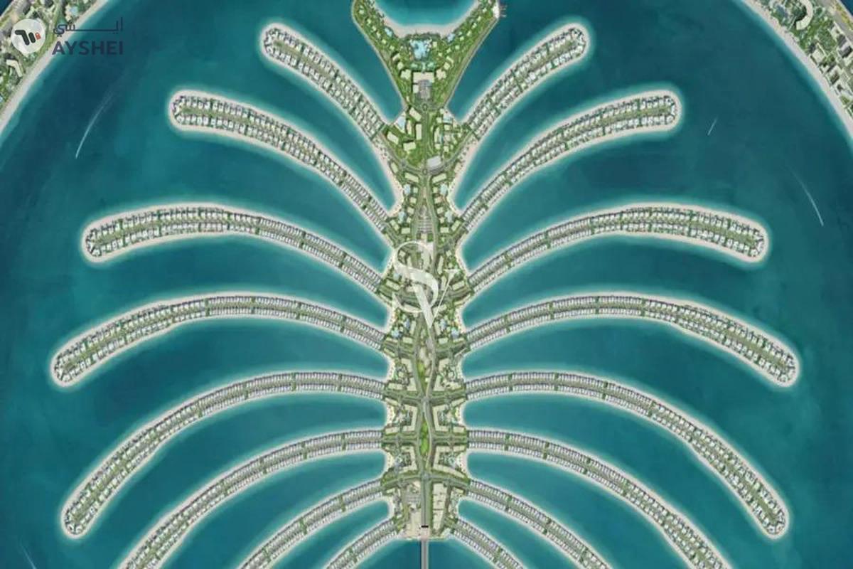 Frond N, Palm Jebel Ali, Dubai-10-10