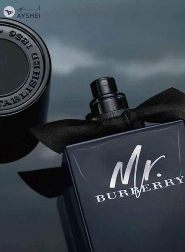 BURBERRY Mr. Burberry EDP 100ml