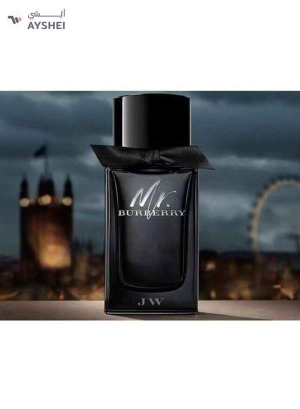 BURBERRY Mr. Burberry EDP 100ml