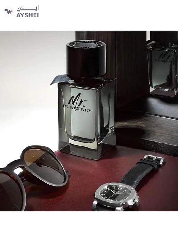 BURBERRY Mr. Burberry EDP 100ml