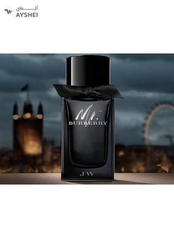 BURBERRY Mr. Burberry EDP 100ml