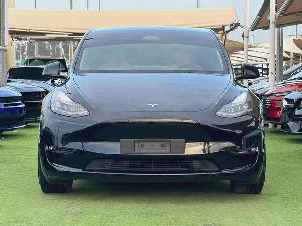 Tesla Model Y Performance 2024 GCC Original Paint