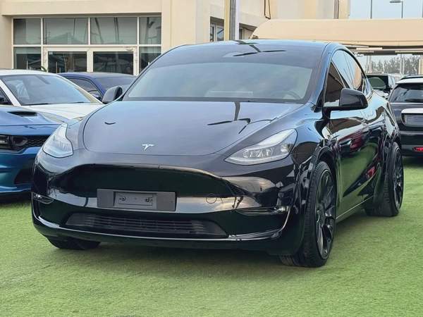 Tesla Model Y Performance 2024 GCC Original Paint
