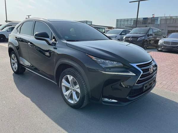 LEXUS NX300h