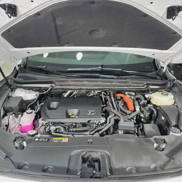 2025 Lexus Rx-350 h - Premier