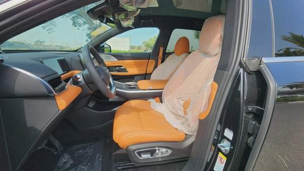XPENG G9 (Black Orange)