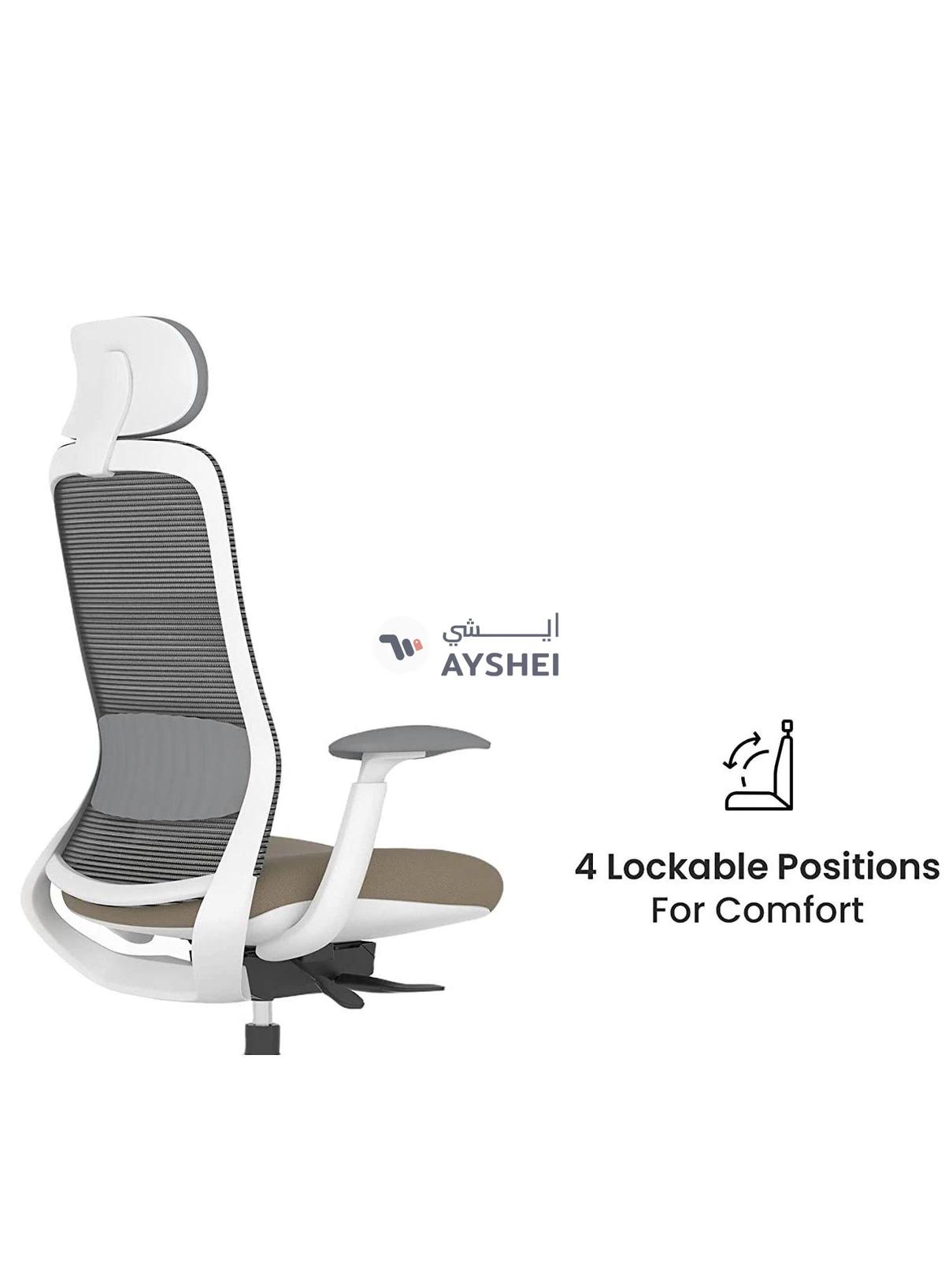 NIO Chair Ergonomic Design Premium Office Computer Chair adjustable features Navodesk Beige Grey-1-portrait