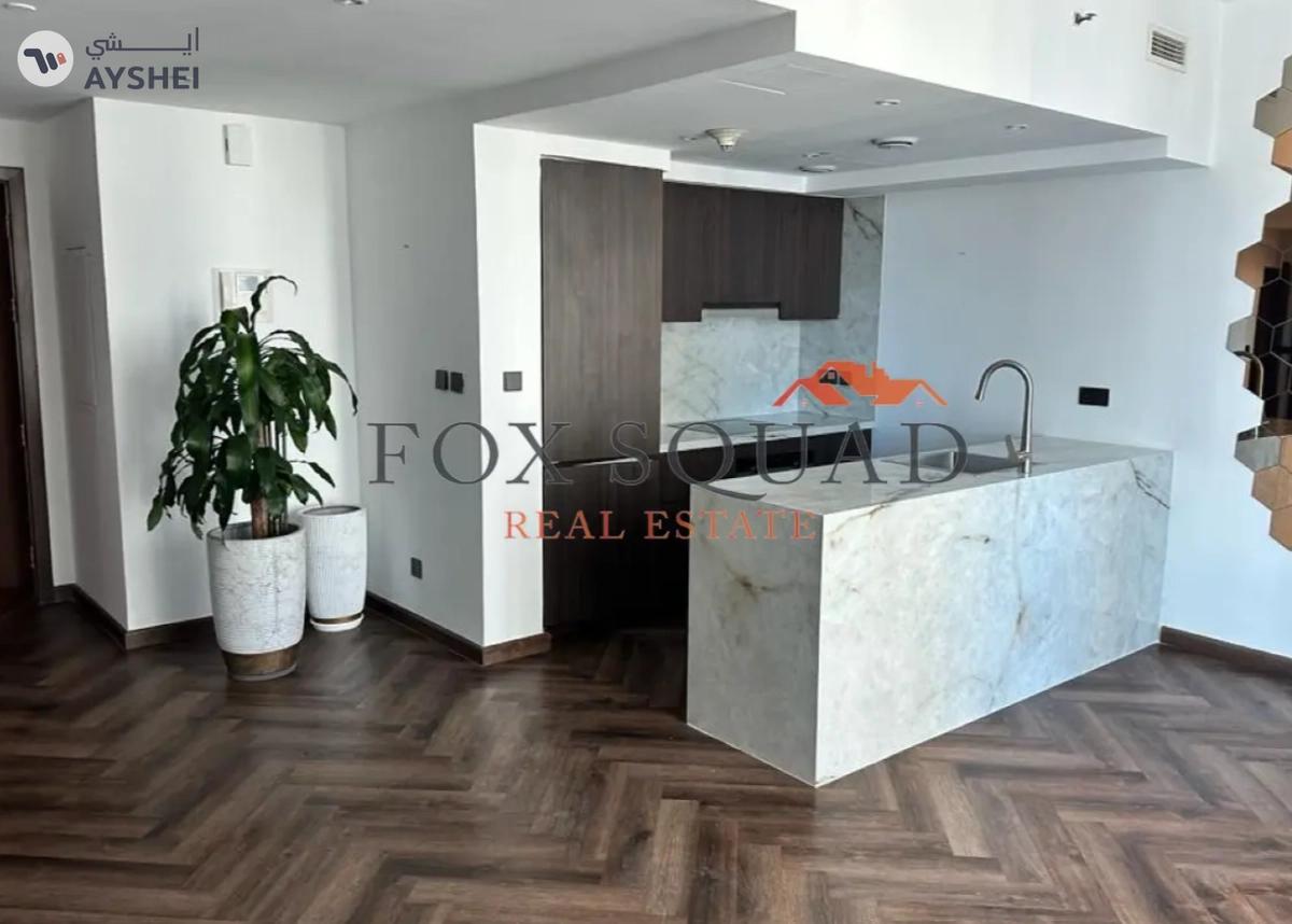 APARTMENT FOR RENT IN SANIBEL TOWER, PARK ISLAND-1-1