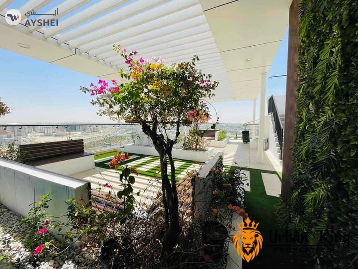 Nad Al Hamar, Dubai-1-1