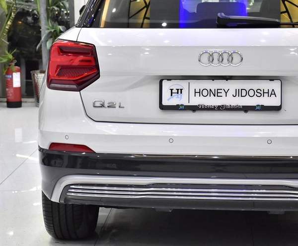 Audi Q2L 30 E-Tron ( 2021 Model ) in White Color Chinese Specs