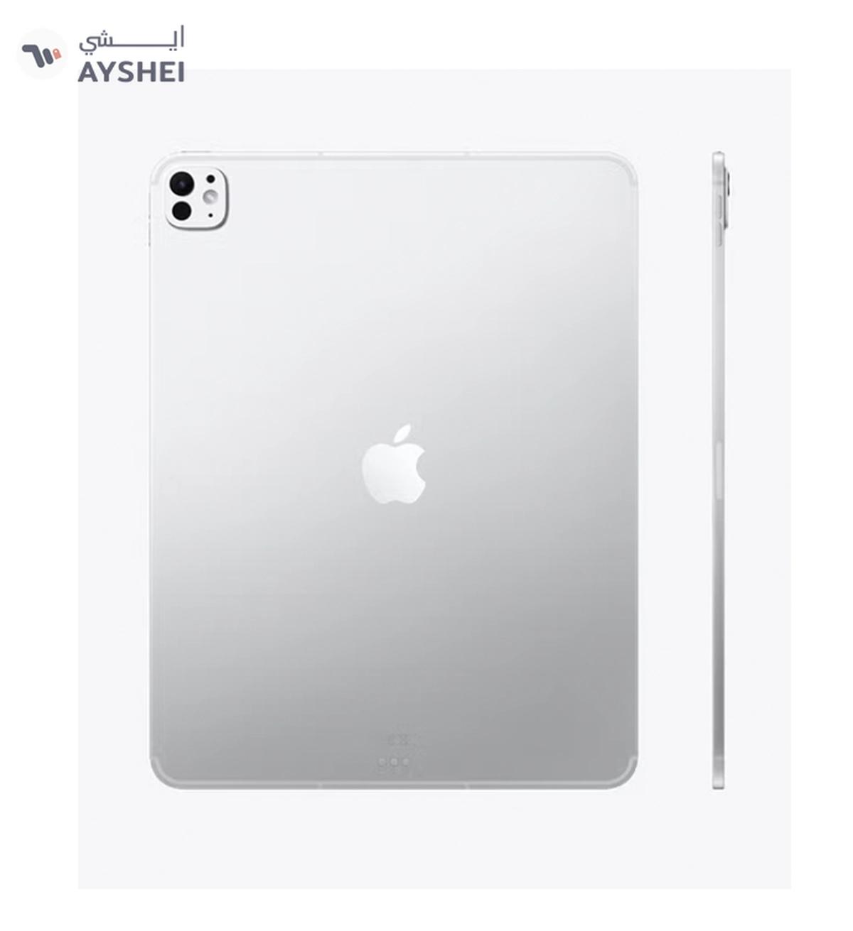 Apple iPad Pro - 2025 (8th Generation) M5 13-inch, 256GB, WiFi, Silver with Standard Glass - International Version-1-1