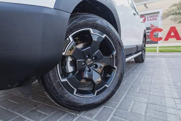 BAIC BJ30