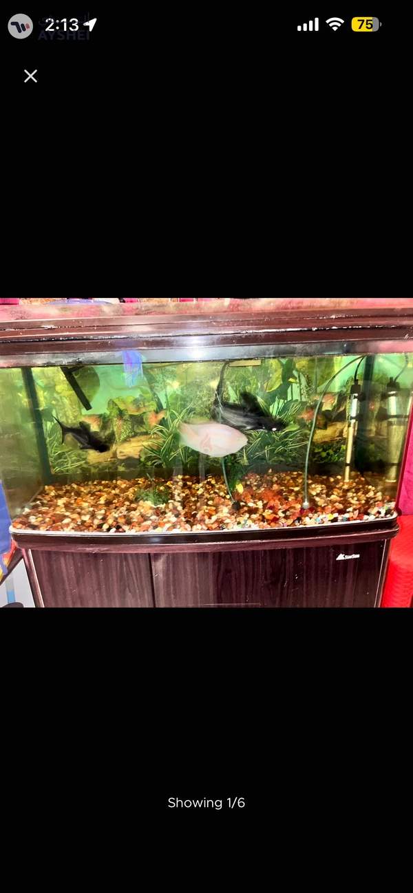 Aquarium 1 meter for sale Aed 550