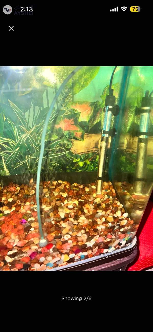 Aquarium 1 meter for sale Aed 550