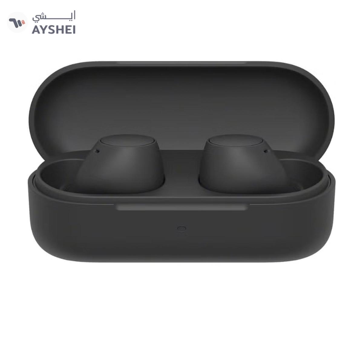 Sony WF-C510 Truly Wireless Earbuds, 22 hours battery-0-landscape
