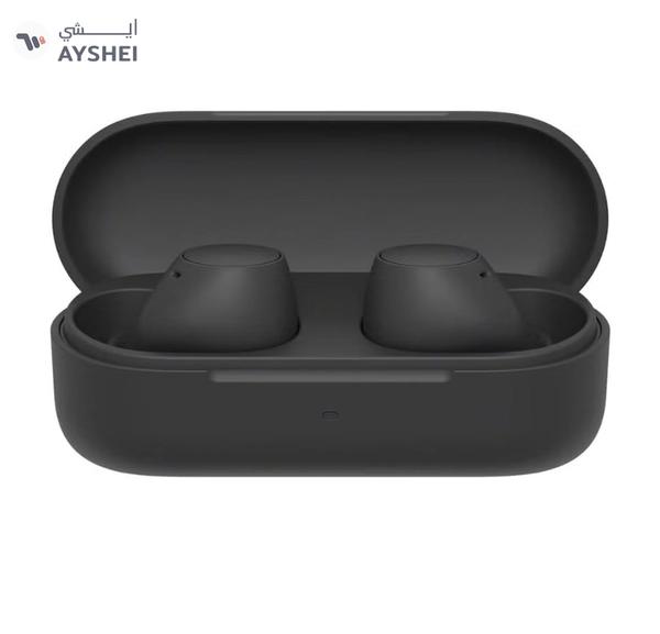 Sony WF-C510 Truly Wireless Earbuds, 22 hours battery