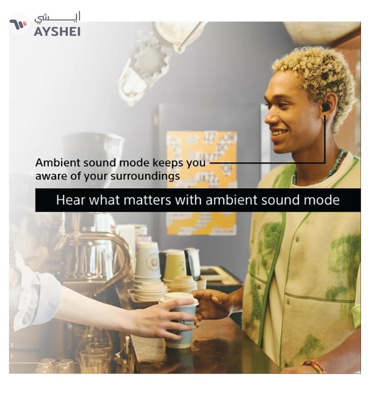 Sony WF-C510 Truly Wireless Earbuds, 22 hours battery-5-5