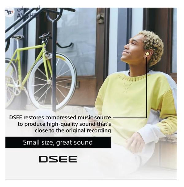 Sony WF-C510 Truly Wireless Earbuds, 22 hours battery