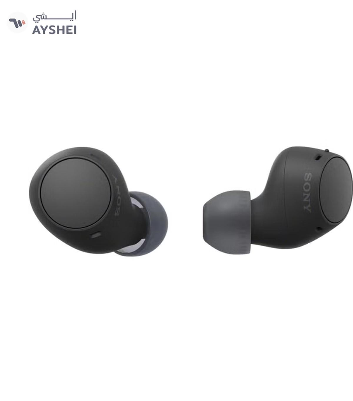 Sony WF-C510 Truly Wireless Earbuds, 22 hours battery-2-2