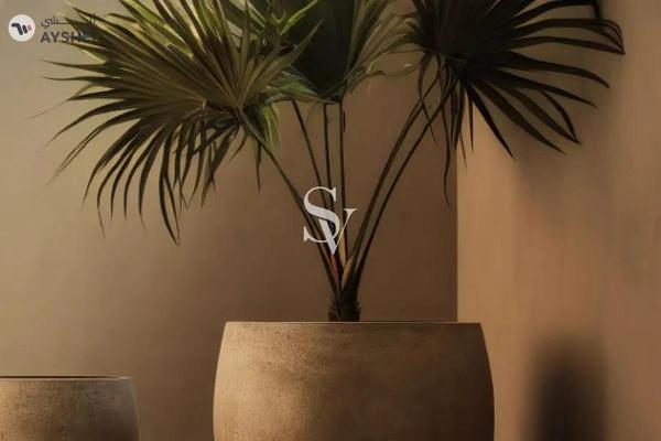 Minati Homes 1, Al Furjan West, Al Furjan, Dubai