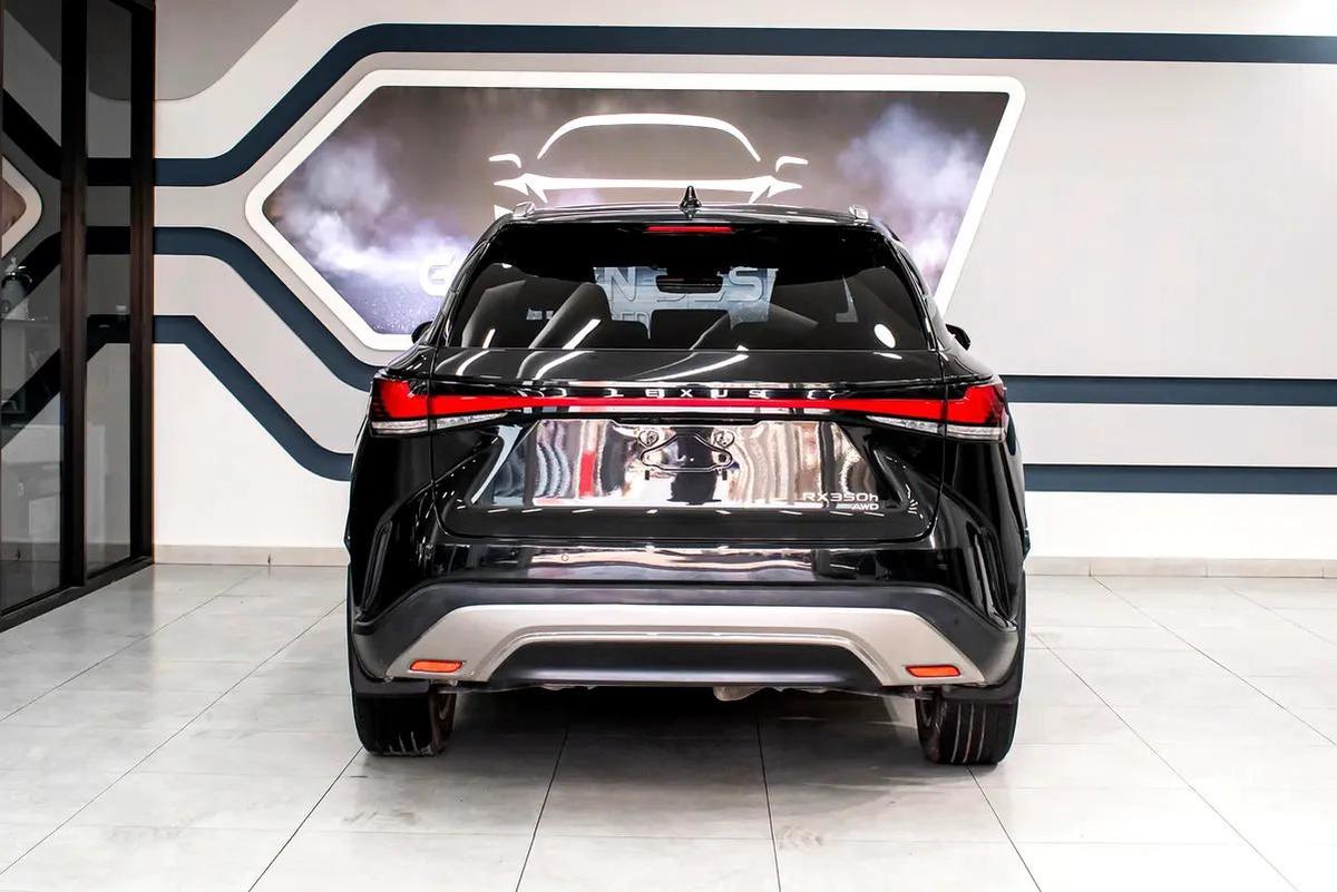 Lexus RX-Series Other-4-4