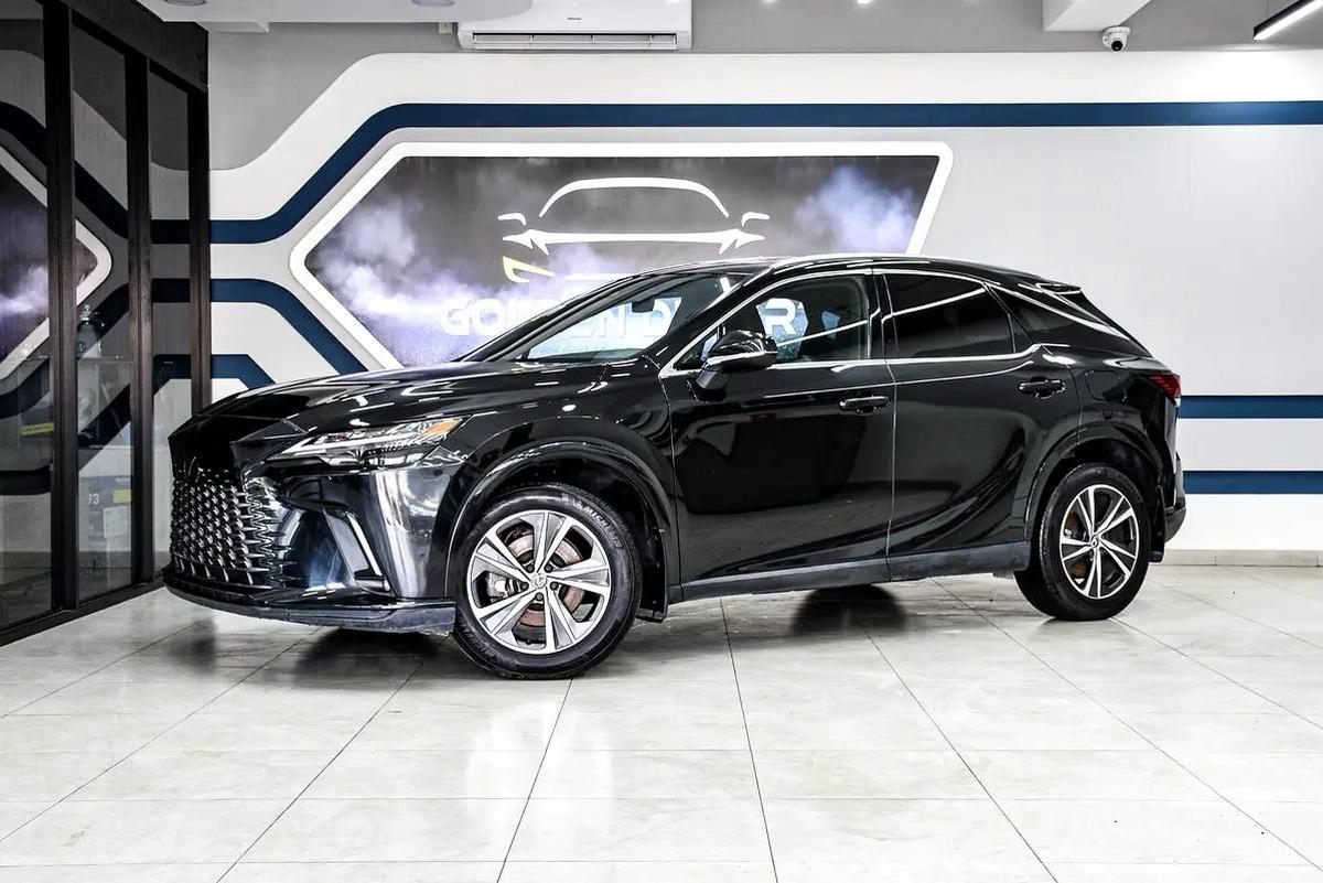 Lexus RX-Series Other-0-0