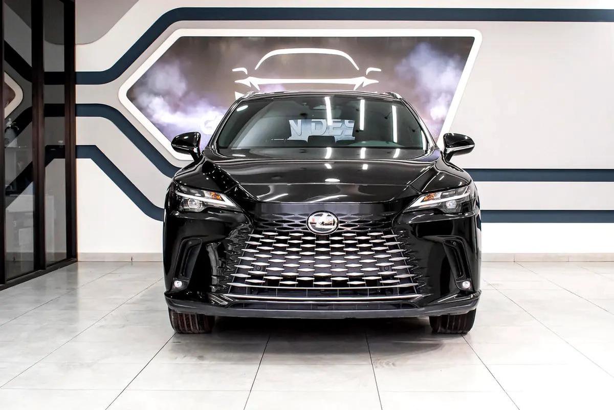 Lexus RX-Series Other-9-9