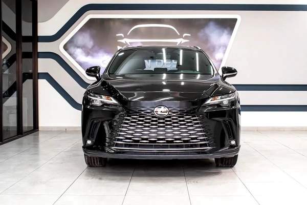 Lexus RX-Series Other