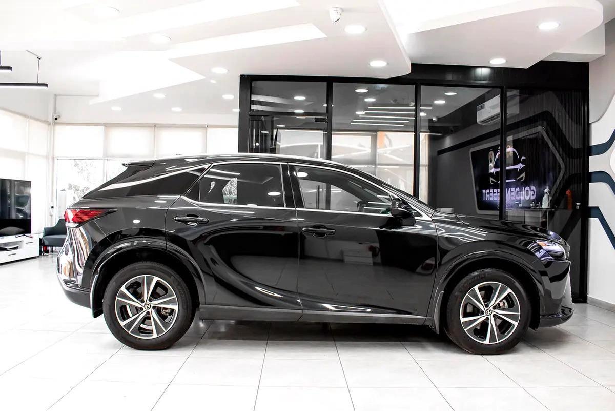 Lexus RX-Series Other-6-6
