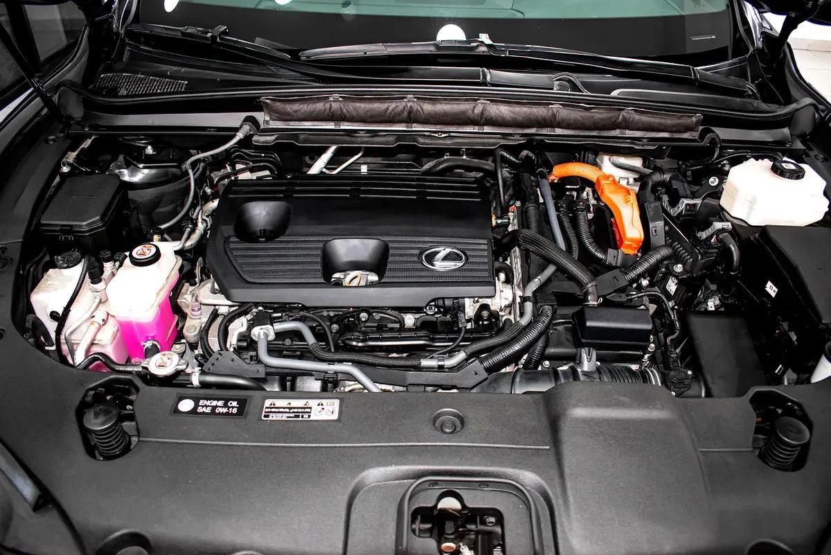 Lexus RX-Series Other-11-11