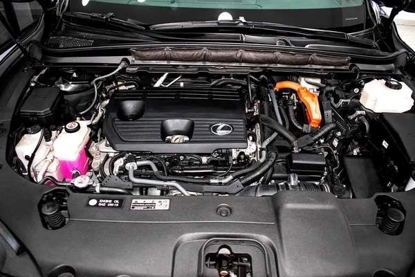 Lexus RX-Series Other