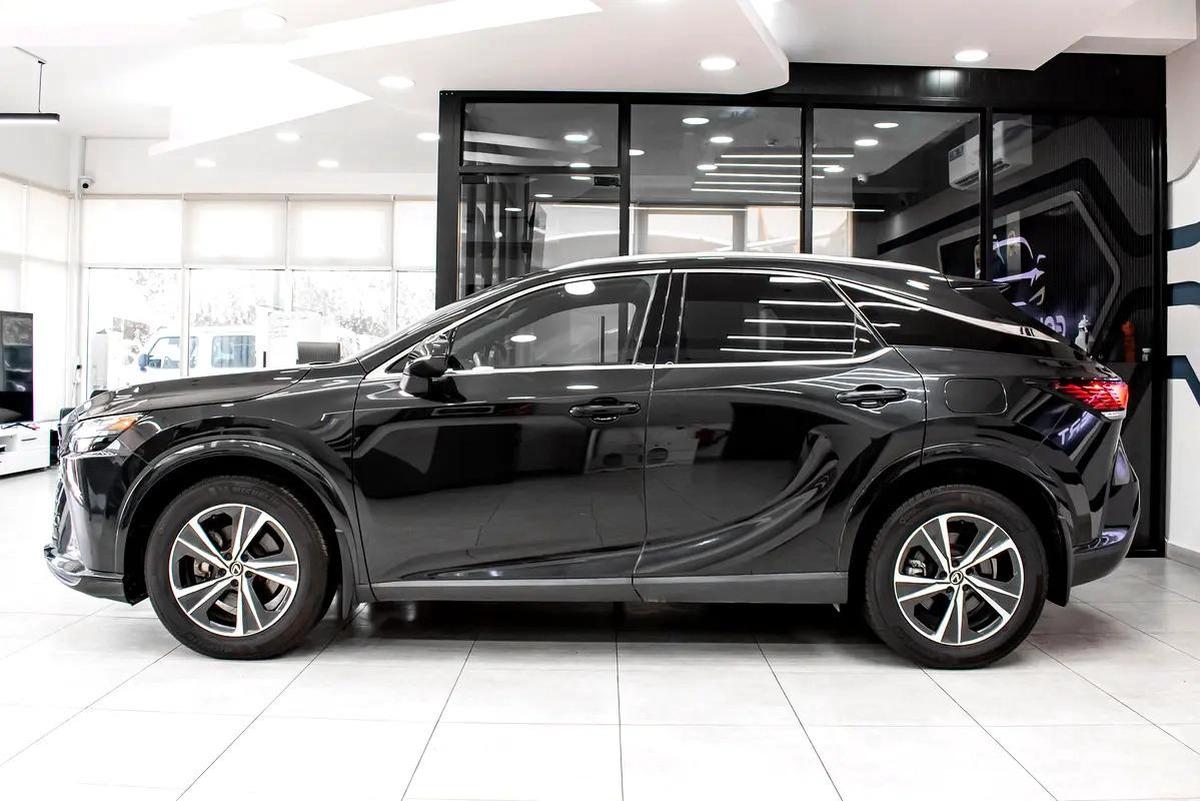 Lexus RX-Series Other-10-10
