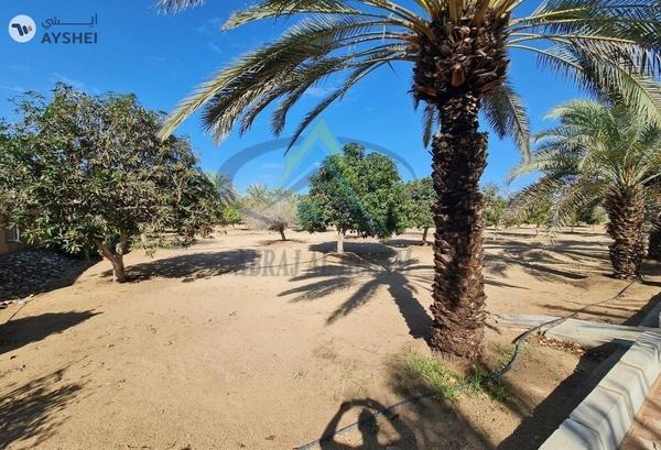 FARM FOR SALE IN AL AJBAN
