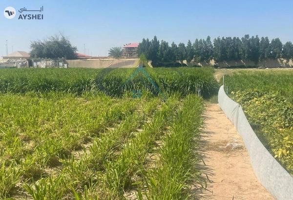 FARM FOR SALE IN AL AJBAN