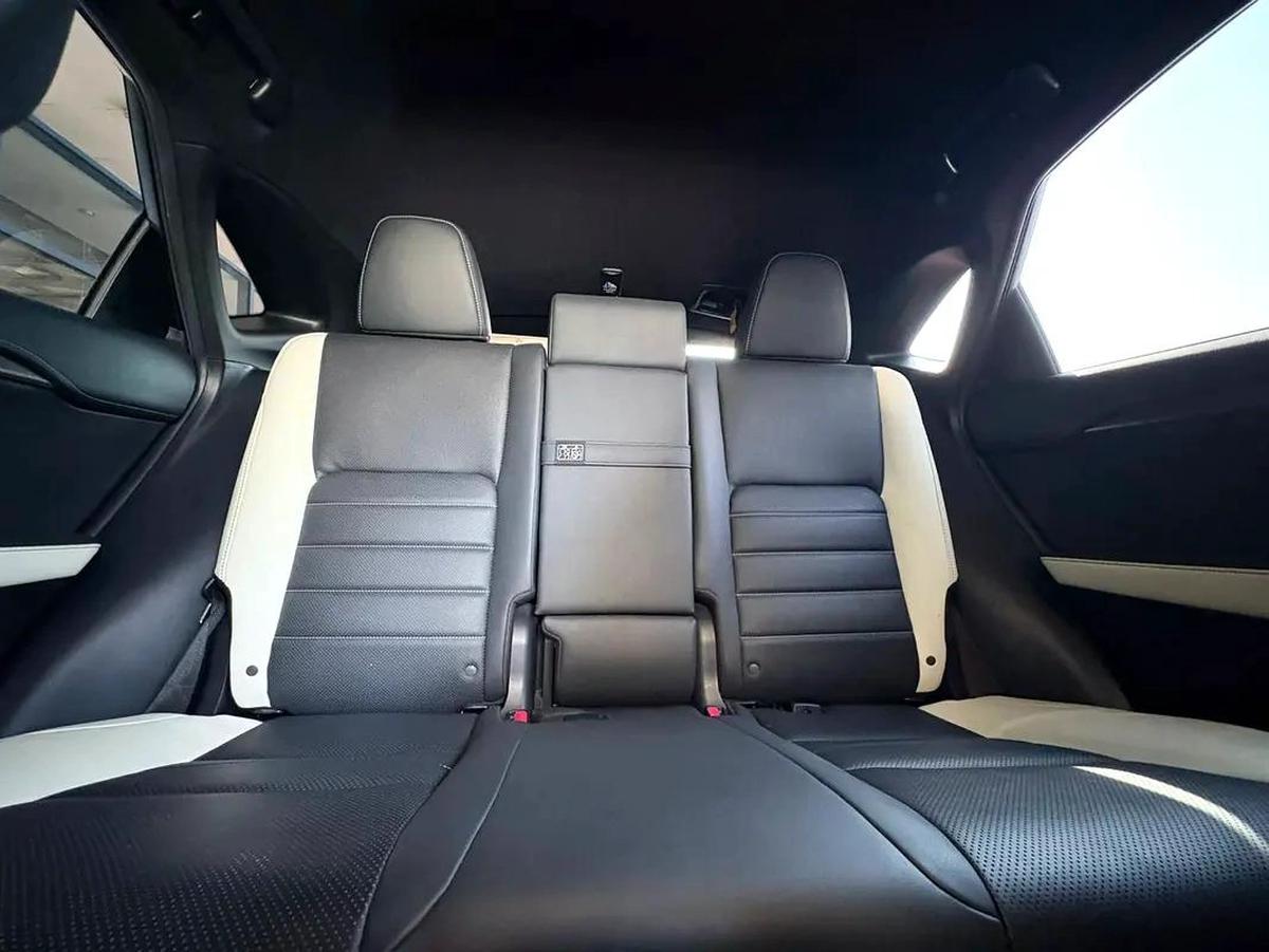 Lexus NX 300 F Sport 2021 MODEL-13-13