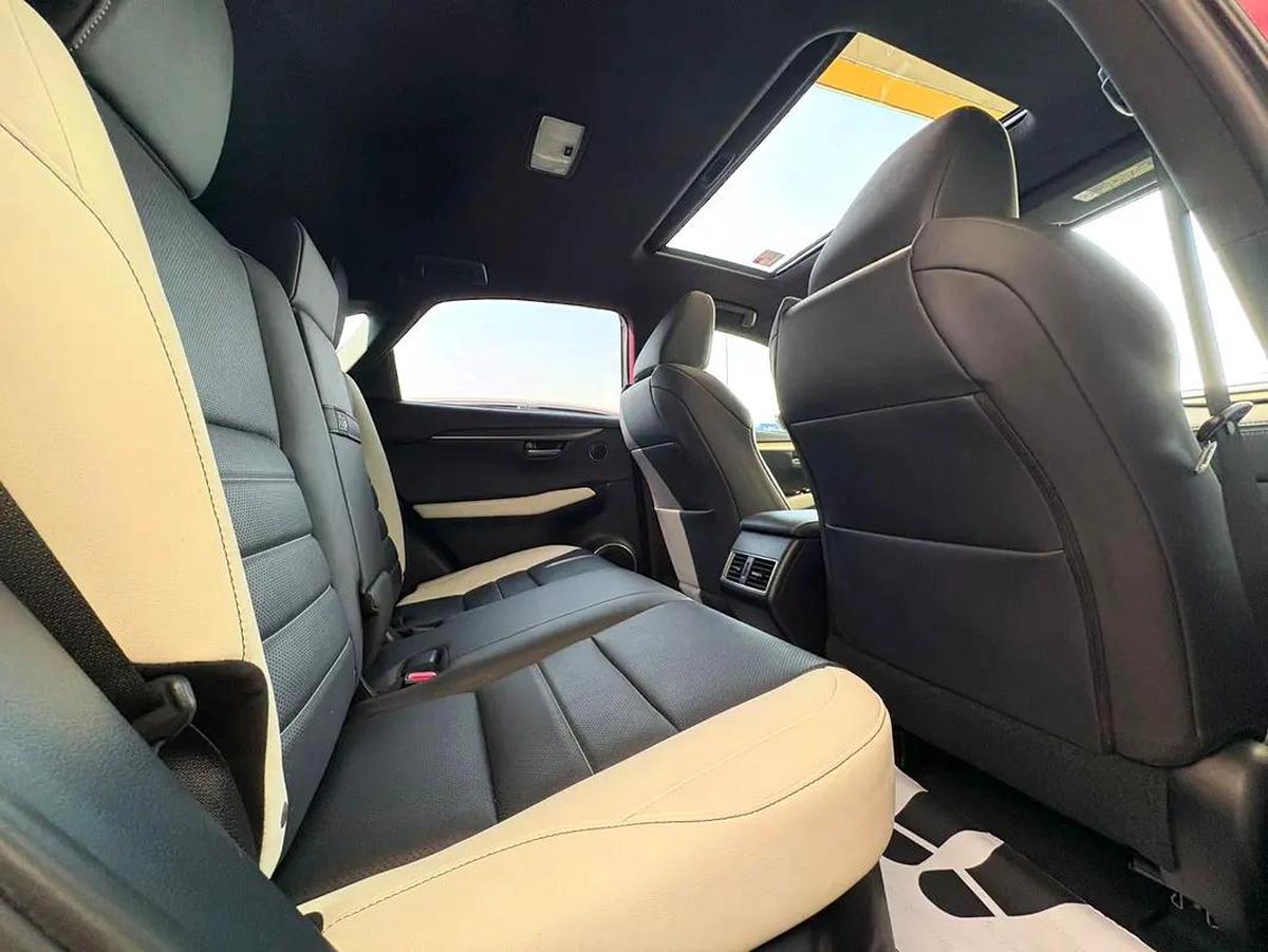 Lexus NX 300 F Sport 2021 MODEL-6-6