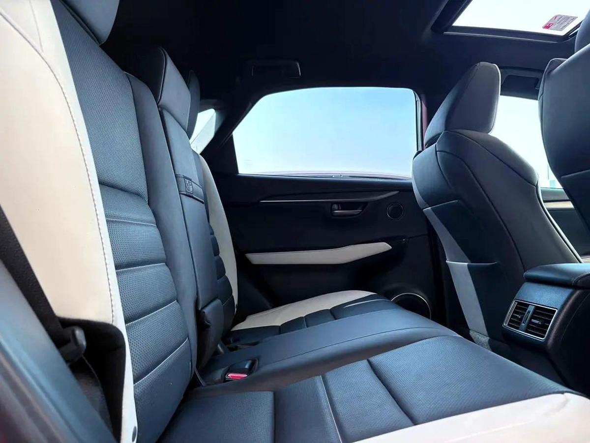 Lexus NX 300 F Sport 2021 MODEL-3-3