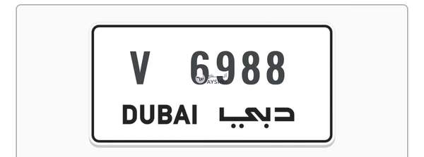 Car Plate number